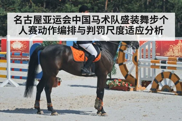 equestrian dressage horse and rider