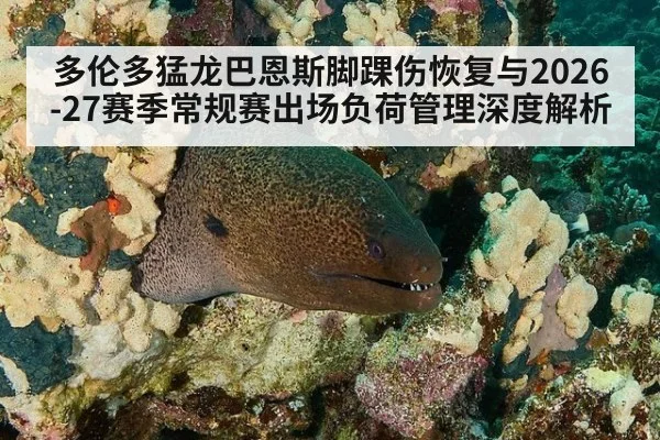 多伦多猛龙巴恩斯脚踝伤恢复与2026-27赛季常规赛出场负荷管理深度解析